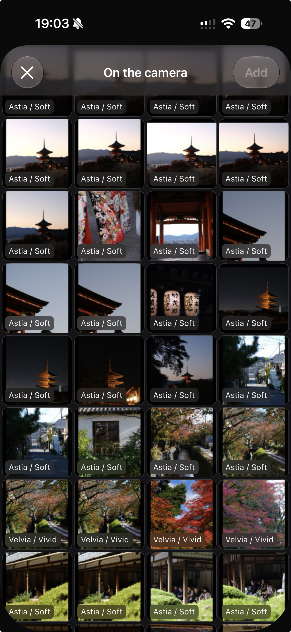 iPhone · On the camera: card browser